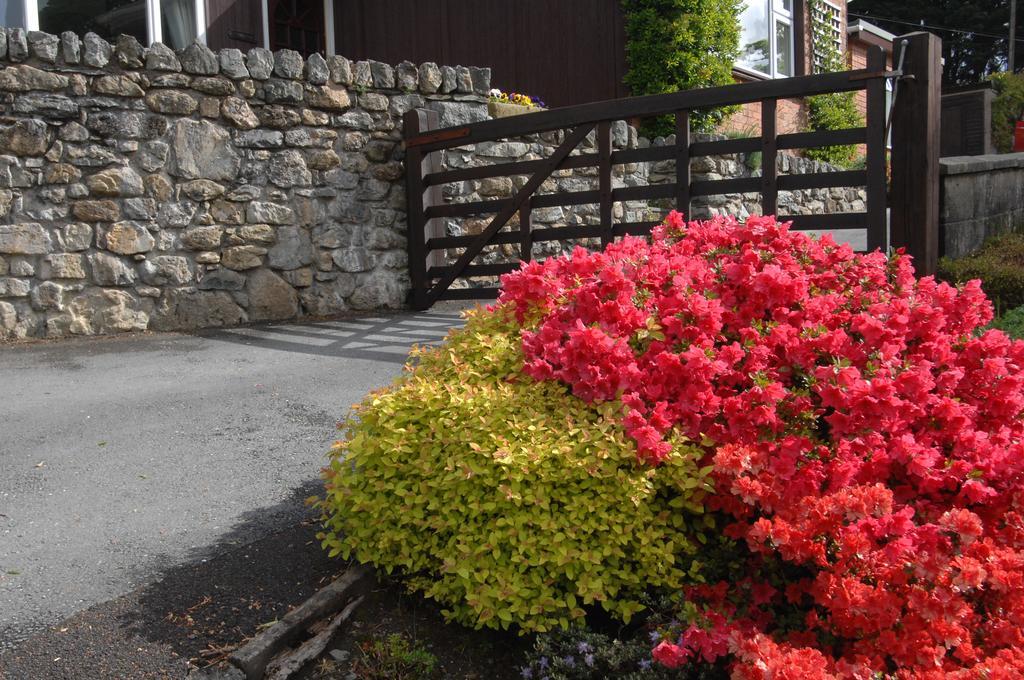 Dwy Olwyn Hotel Долгелай Екстериор снимка